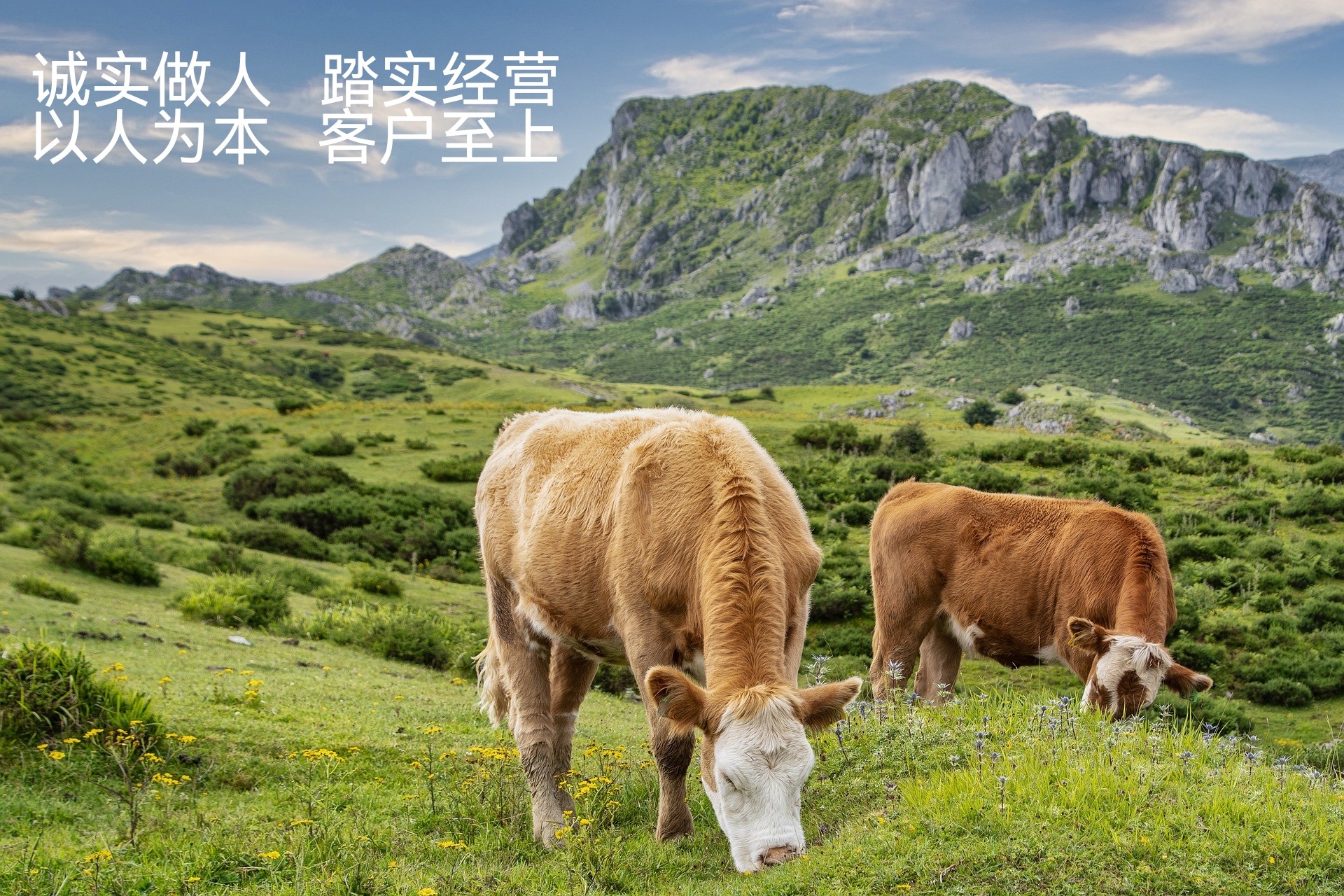 通欄圖片